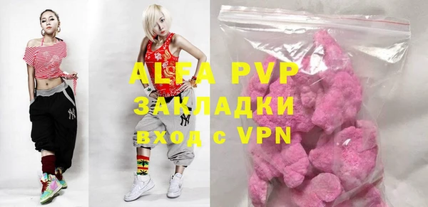 хмурый Магас