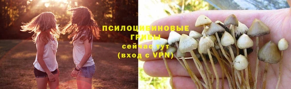 спайс Лихославль