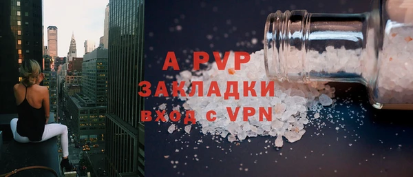 хмурый Магас